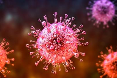 Hindistan'da görüldü: Nipah virüsü yayılıyor mu