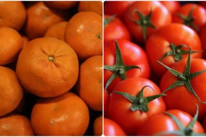 İstanbulluların 2025'te en çok tükettiği ürünler: Mandalina ve domates