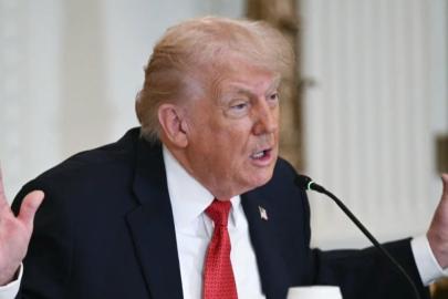 Trump, ABD'nin Grönland planına karşı çıkan ülkelere ek vergi getirildiğini duyurdu