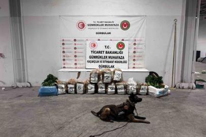 Ağrı’da Gürbulak Sınır Kapısı’nda 51 kilo 520 gram esrar ele geçirildi