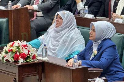 Deprem bölgesi için tarihi finansman modeli