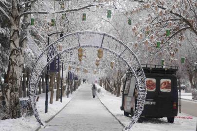 Erzurum’da soğuk havanın etkisiyle ağaçlar kırağı tuttu