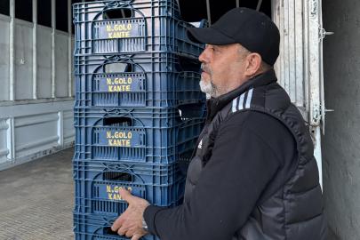 Fenerbahçeli taraftar domates kasalarının üzerine 'N'Golo Kante' yazdırdı