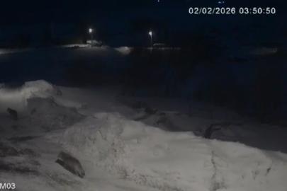 Kars’ta kurtlar köylerde cirit atıyor