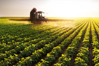 Tarımsal destekleme ödemeleri bugün çiftçilerin hesaplarına aktarılıyor