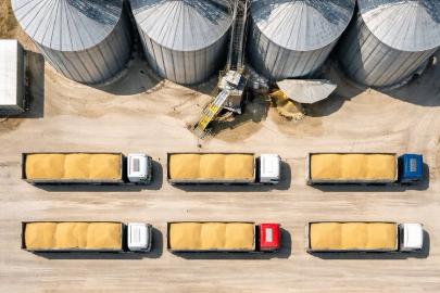 TMO 1,2 milyon ton buğdayı TÜRİB üzerinden satışa sunuyor