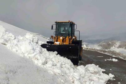 Van’da kar nedeniyle kapanan 67 yerleşim yerinin yolu açılıyor