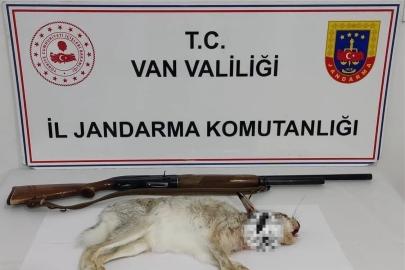 Van’da tavşan avlayan şahsa 29 bin TL ceza
