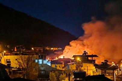 Yalnız yaşadığı evde çıkan yangında öldü