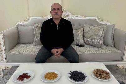 "Yapamazsın" diyenlere inat yetiştirdiği safran ve salebi evinde tüketiyor