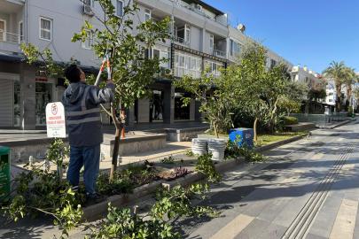 Büyükşehir’den Kemer’de peyzaj düzenlenesi