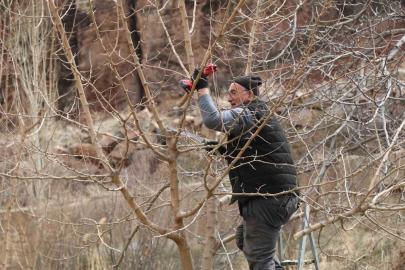 Erzurum’da köylerde bahçe bakım çalışmaları başladı
