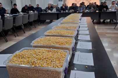 Gaziantep'te 15 bin ton mısır açık artırma usulüyle satışa sunuldu