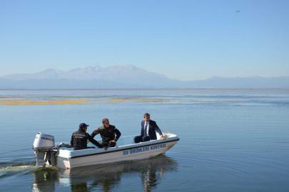 Konya’da sazan ve sazangiller için av yasağı başladı