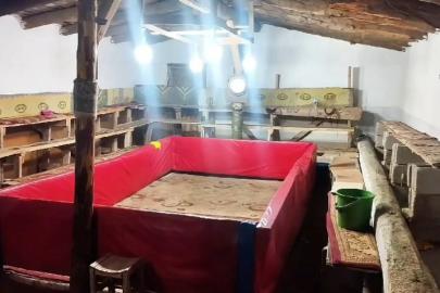 Muş’ta horoz dövüşü yapan 23 kişiye ceza