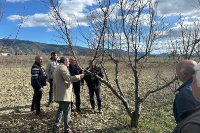 Üreticilere budama eğitimi