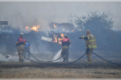 2025’te en fazla orman yangını İzmir’de çıktı