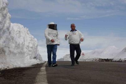 2581 rakımda arıcılardan yol açma çağrısı