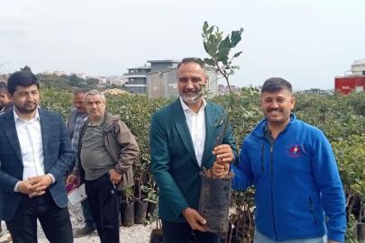 5 bin keçiboynuzu fidanı üreticilerle buluşturuldu