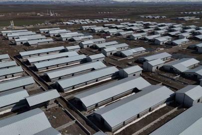Ağrı’da 307 ahırlık hayvancılık üssü hayata geçiyor