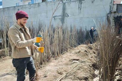 Ahlat’ta meyve fidanlarına ilgi