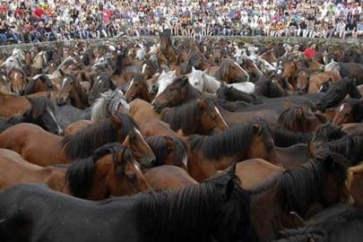 At eti skandalındaki firma yolsuzluk soruşturmasında