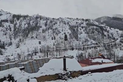 Bahar yerini kışa bıraktı: Erzincan Refahiye’de kar yağışı etkili oldu