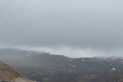 Hizan’da yoğun sis