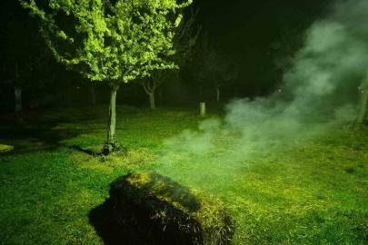 Iğdır’da çiftçiler meyve ağaçlarını dumanlama yöntemi ile soğuktan korudu