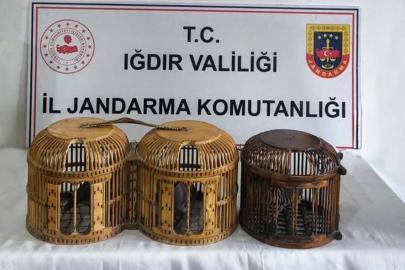 Iğdır’da kaçak keklik avına suçüstü: 72 bin TL ceza
