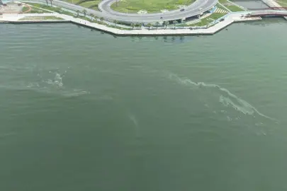 İzmir Körfezi’nde kirlilikte 10'uncu tespit