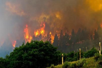Japonya’da orman yangınları: Söndürme çalışmaları ikinci gününde sürüyor