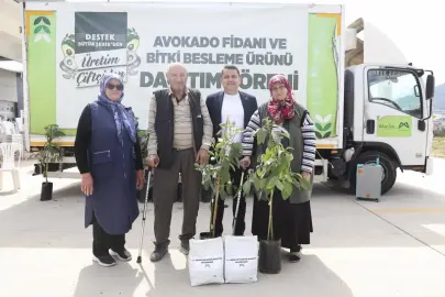 Mersin'de Anamurlu üreticilerin yüzü gülüyor