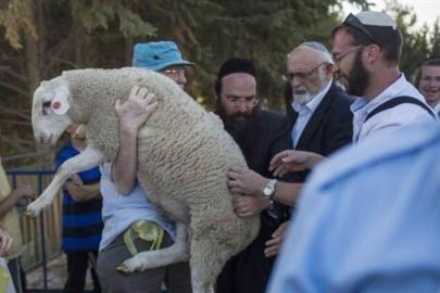 Mescid-i Aksa'da tehlikeli plan: 7 kurban girişimi siyonist projeyi gözler önüne serdi