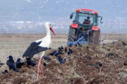 Meteorolojiden zirai don uyarısı