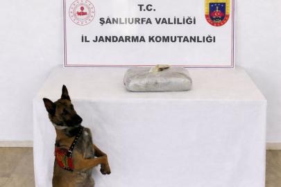 Şanlıurfa'da bir kilo 222 gram uyuşturucu ele geçirildi