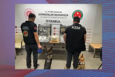 Ticaret'ten uyuşturucu kaçakçılığına büyük darbe... 420 kilo esrar ele geçirildi