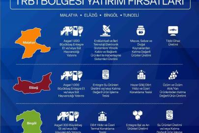 Yerel Kalkınma Hamlesi ile yatırımcılara 301 Milyon TL’ye kadar destek