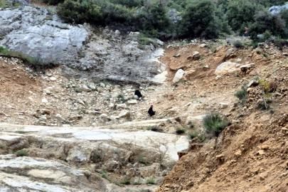 Dağlık alanda mahsur kalan 2 çocuk kurtarıldı