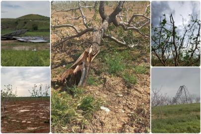 Gaziantep Kent Konseyi'nden afet sonrası çiftçilere destek çağrısı