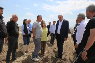Konya’da patates atağı... İthal tohum dönemi sona eriyor