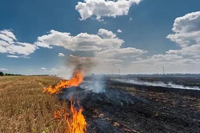 Şanlıurfa’da anız alarmı: Yasak ihlaline ceza uygulanacak