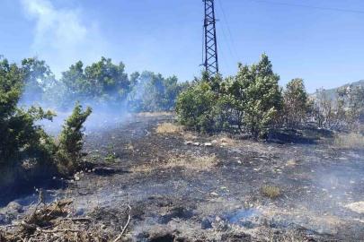 Bingöl’de çıkan orman yangını büyümeden kontrol altına alındı