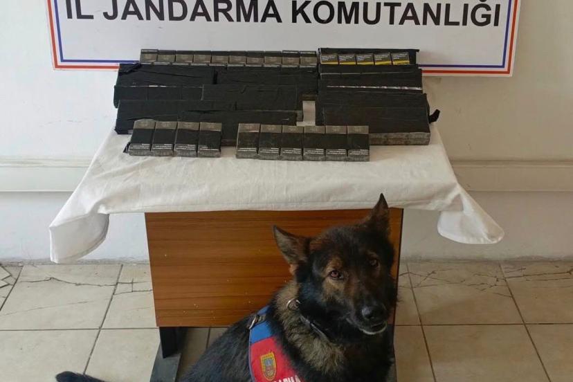 Diyadin’de 180 paket kaçak sigara yakalandı