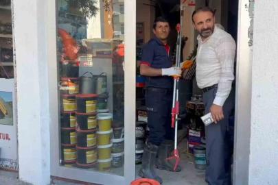 Adilcevaz’da iş yerine giren yılan ekipleri harekete geçirdi