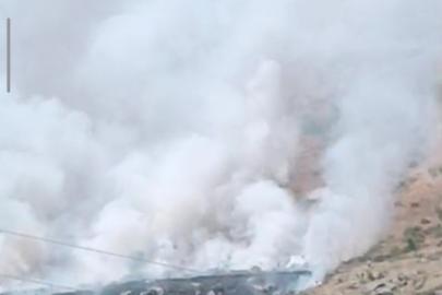 Bitlis’te dağlık alanda yangın: Binlerce arı telef oldu