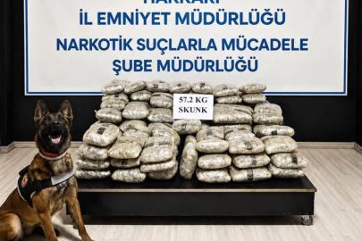 Hakkari’de 57 kilo 200 gram skunk ele geçirildi