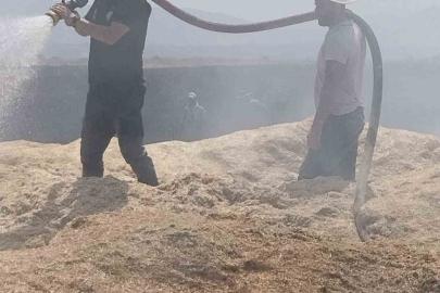 Bingöl’de arazi yangını: 2 bin dönüm arazi zarar gördü