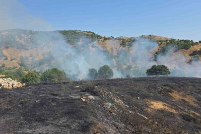 Bingöl’de kırsal alanda çıkan yangın söndürüldü