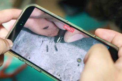 Pirinç tanelerine isim yazan ustanın milimetrik sanatı hayran bırakıyor